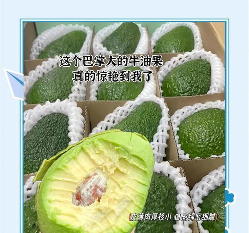 牛油果的成熟上市时间及特点（探究牛油果生长周期与季节性变化）