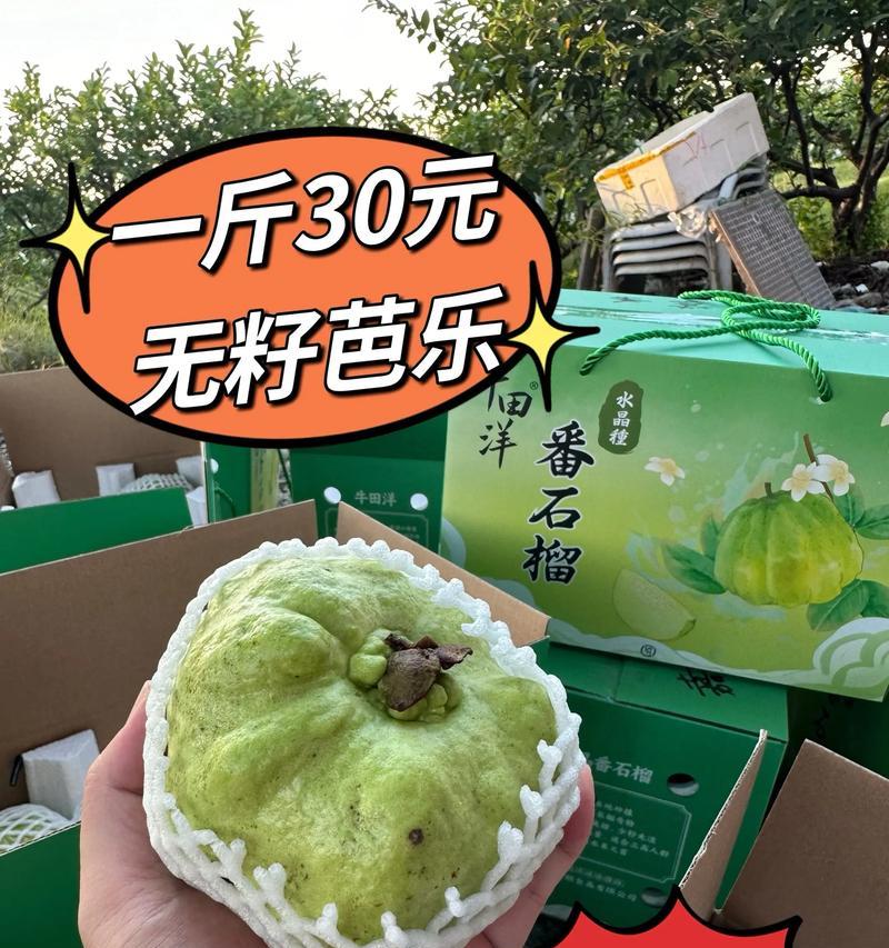 番石榴开花结果时间（掌握番石榴成长规律，赏花品尝果实不再错过）
