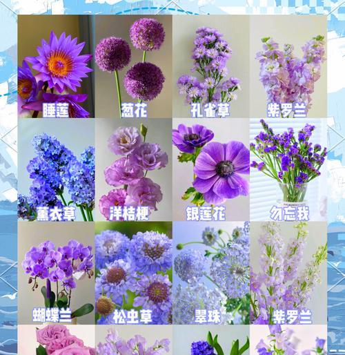 如何辨别西州蜜瓜的成熟度