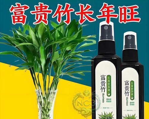 水养富贵竹叶子发黄，你需要做的这些事（水养富贵竹叶子发黄怎么办，防止富贵竹叶子变黄的小技巧）
