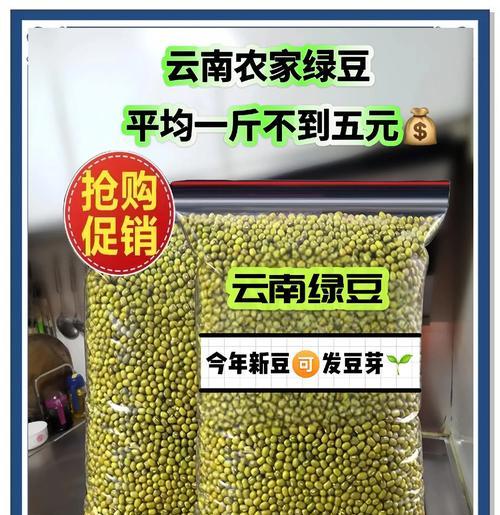 掌握这些知识，让你顺利收获绿豆！（掌握这些知识，让你顺利收获绿豆！）