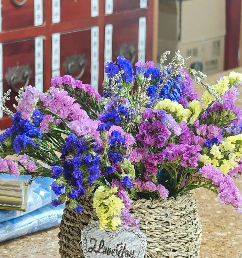 花语不要忘记我（探究令人难忘的花语——不要忘记我）