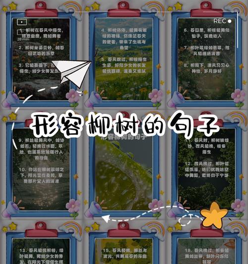 探秘柳树的神秘魅力（探秘柳树的神秘魅力）