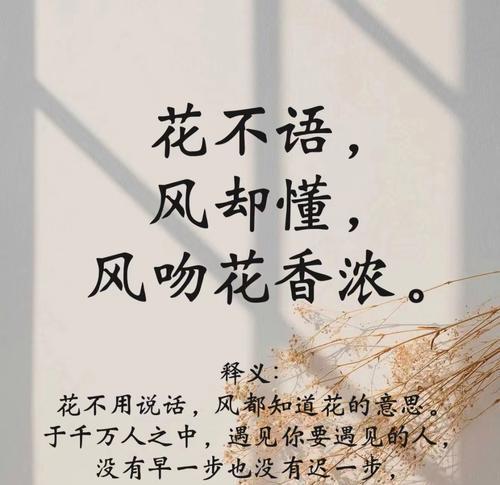 默默守护的爱——玫瑰花语（以玫瑰为代表的爱情花语）