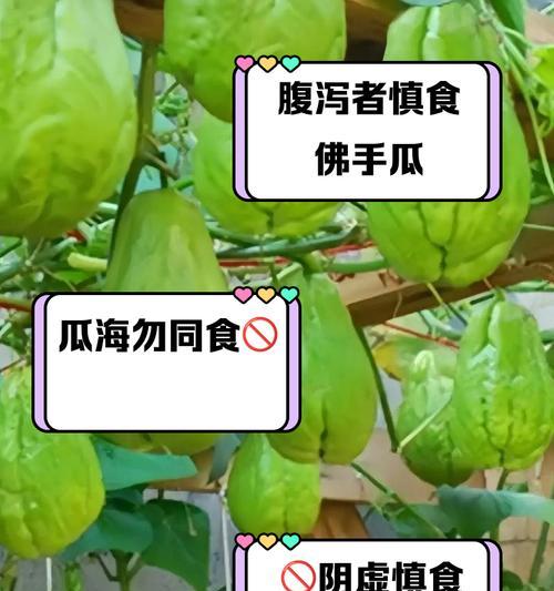 如何选择最佳的佛手瓜种植时间（适合种植的月份及注意事项）