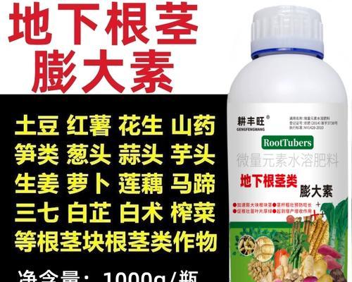揭秘山药真相（山药的形态构造及生长方式探究）