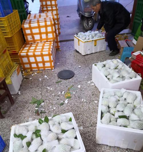 揭秘番石榴的故乡（探寻番石榴的起源和分布地点）