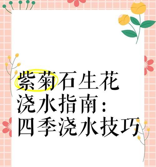 如何正确浇水石生花（掌握正确时间和方法，让石生花健康茁壮）