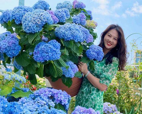春天花开，这些植物最适合（打造春日花园，让你的家更有生气）