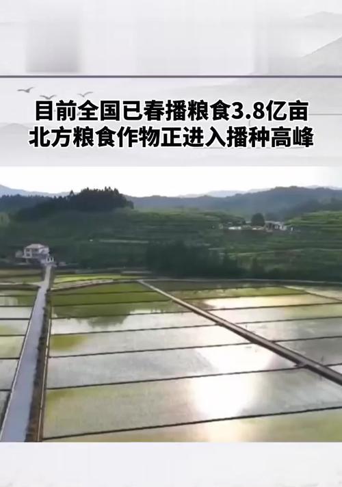 北方农业大省盛产小麦（从耕地面积到产量排名，看北方小麦的发展）