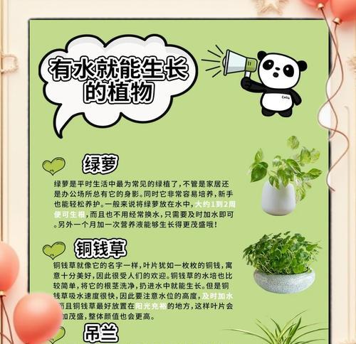 绿植如何浇水才正确？（科学的浇水方法让绿植健康生长）