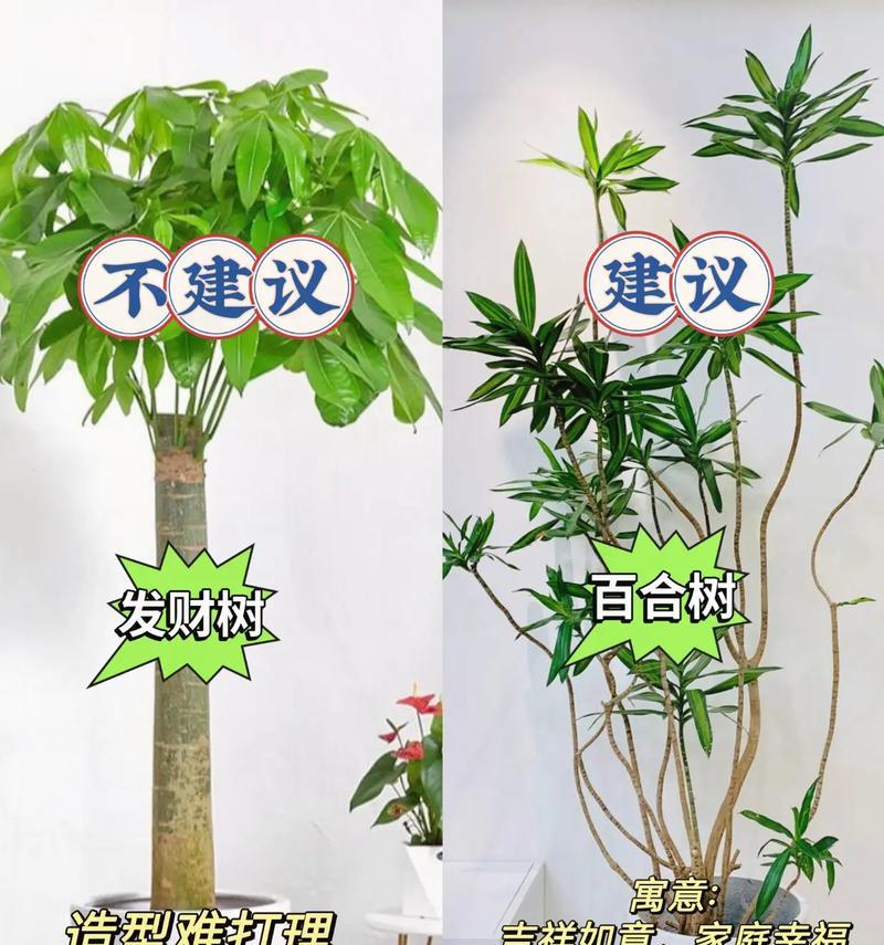绿植如何浇水才正确？（科学的浇水方法让绿植健康生长）