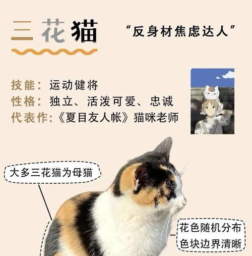 猫可以吃胡萝卜吗？（猫咪的饮食安全问题，胡萝卜的营养价值与适量喂食）