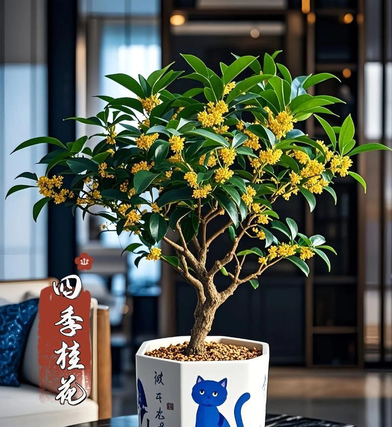 盆栽桂花剪枝指南（合适的时间和技巧，让盆栽桂花更美丽）