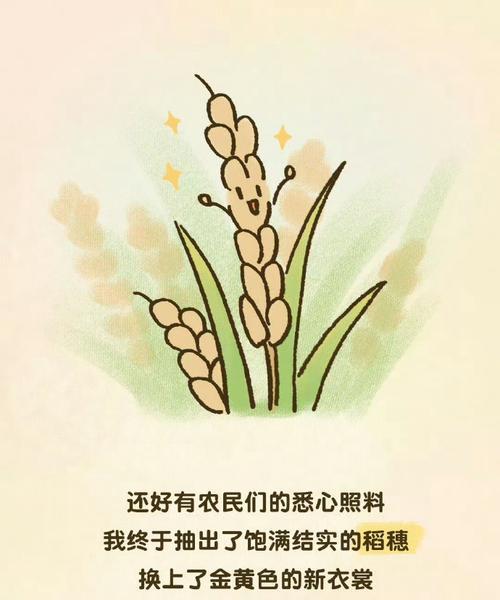 揭秘大米种子的来龙去脉（探究大米种子的来源与演化，为农业生产提供科学依据）