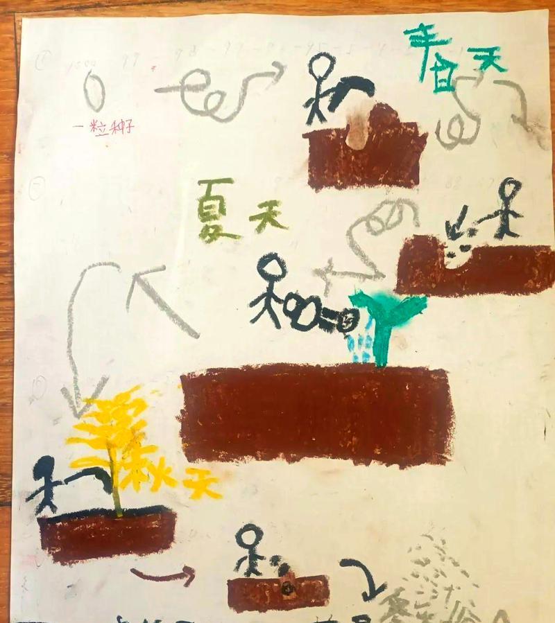 揭秘大米种子的来龙去脉（探究大米种子的来源与演化，为农业生产提供科学依据）
