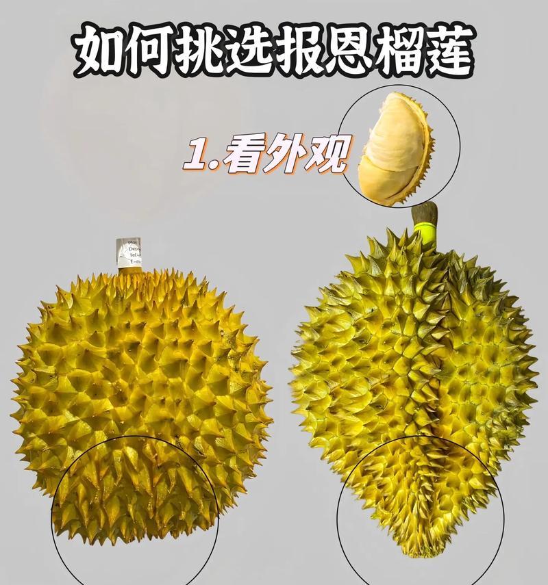 如何挑选好吃的榴莲（教你识别优质榴莲的五大特征）