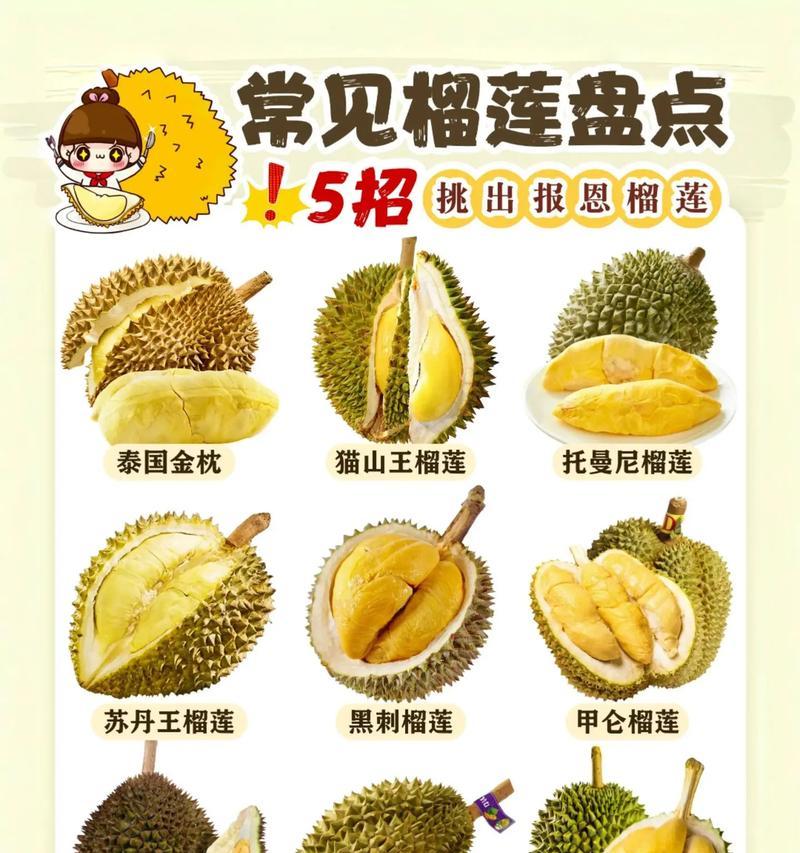 如何挑选好吃的榴莲（教你识别优质榴莲的五大特征）