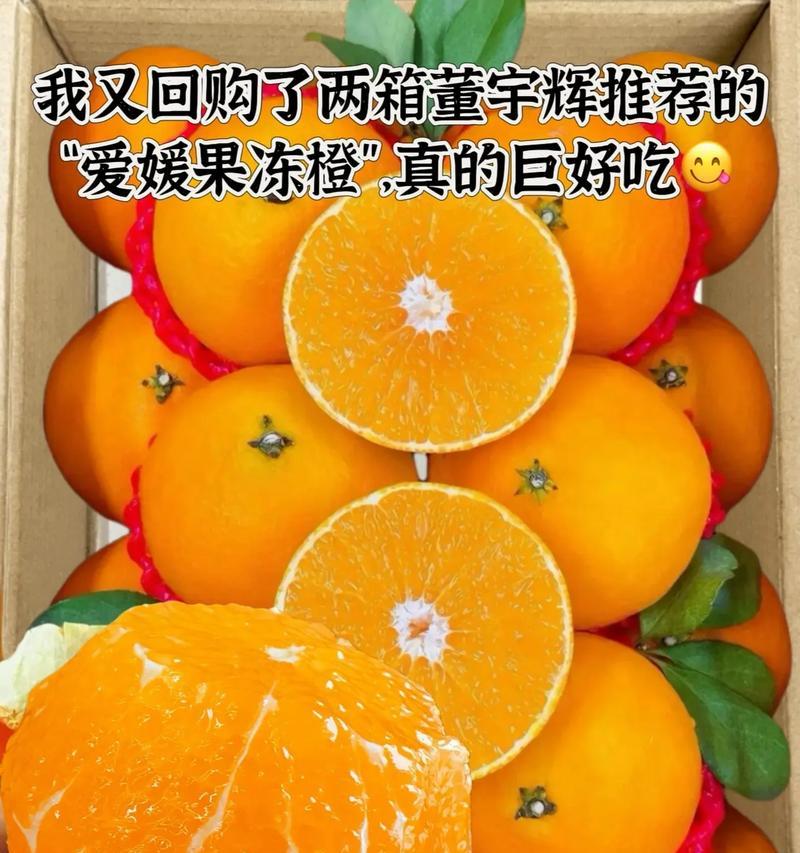 爱媛水果上市时间表详解（探究爱媛热门水果成熟期，为你提前了解上市时间）