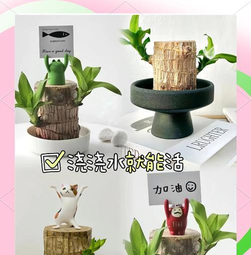 木本植物水培好还是土培好？（解析木本植物水培和土培的优缺点）