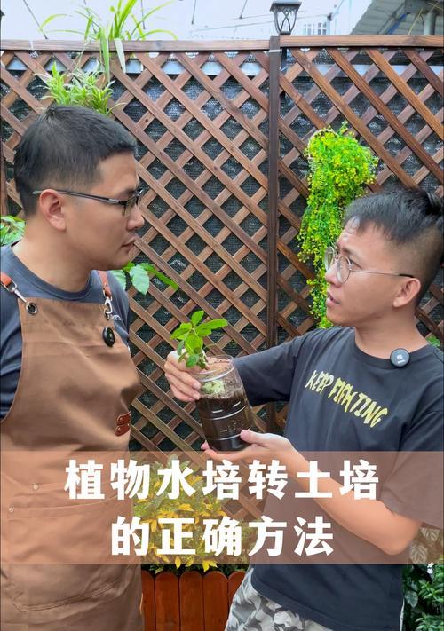 木本植物水培好还是土培好？（解析木本植物水培和土培的优缺点）