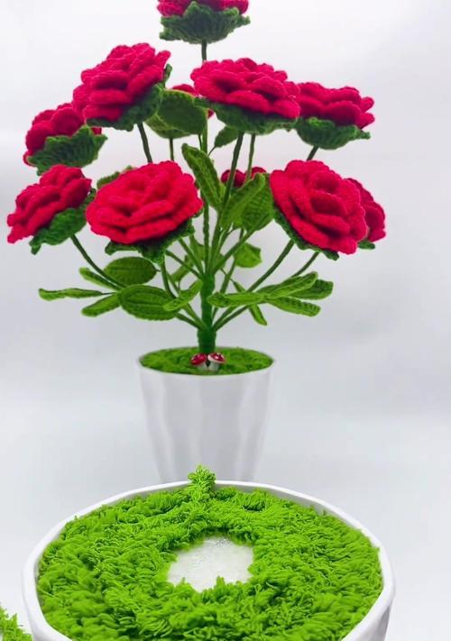 盆栽玫瑰的剪枝技巧（从修剪花枝到促进花蕾生长，让您的盆栽玫瑰更美丽）