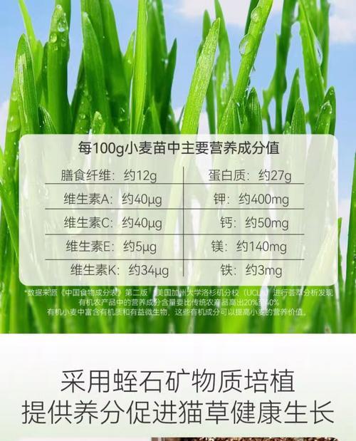 猫草水培好还是土培好？（探究猫草水培和土培的优缺点及适用场景）