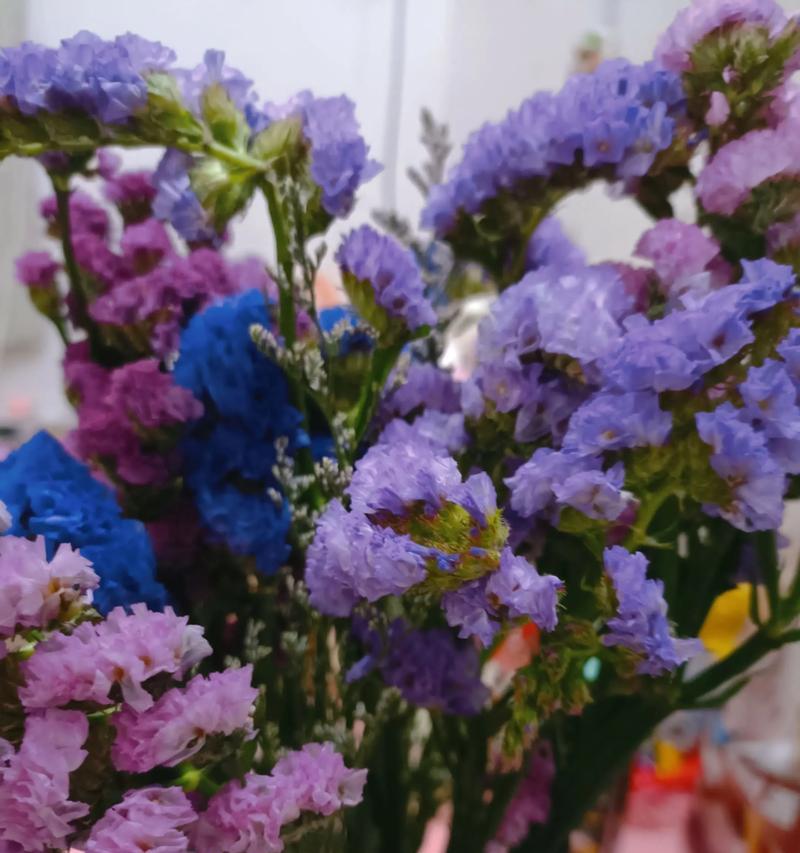揭秘勿忘我开花特点与生长习性，（探讨勿忘我几月份开花及开花次数，）