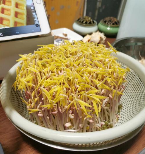 绿豆黄叶病——病因及治疗方法（由何而来？如何治疗？）