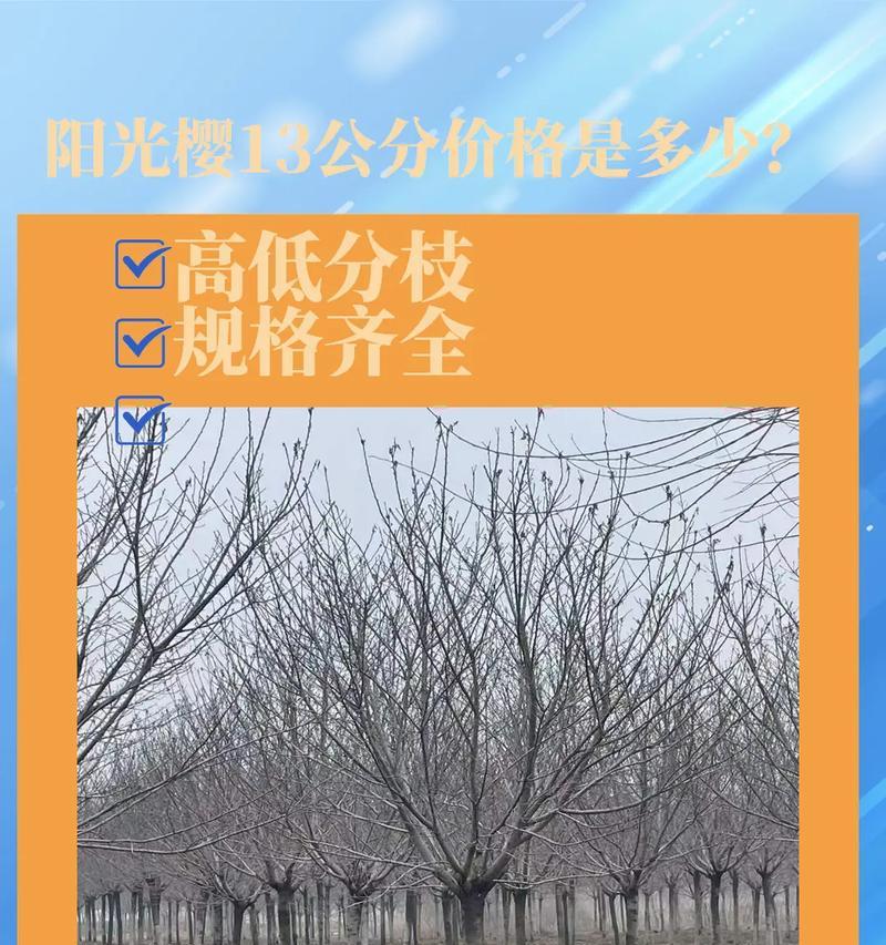 揭开日本晚樱的真面目——裸子植物还是被遗忘的树木？
