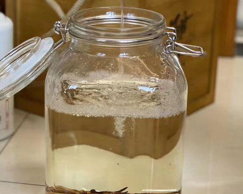 冬虫夏草的根能吃吗？——解析冬虫夏草根的营养价值和食用方法