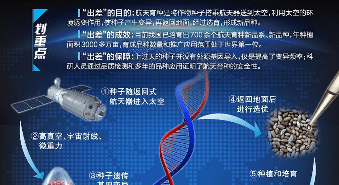 水稻种子的生产过程（从选种到繁殖，探究水稻种子的生产过程）