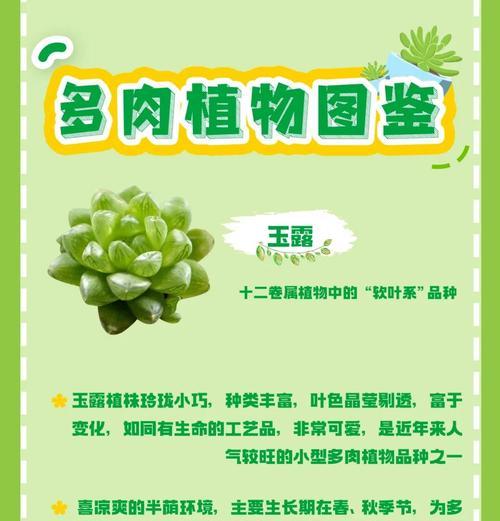 玉露徒长处理方法（掌握徒长原因，有效解决玉露问题）