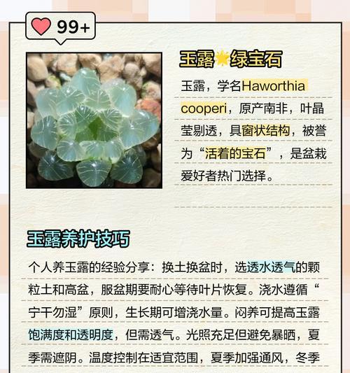 玉露徒长处理方法（掌握徒长原因，有效解决玉露问题）