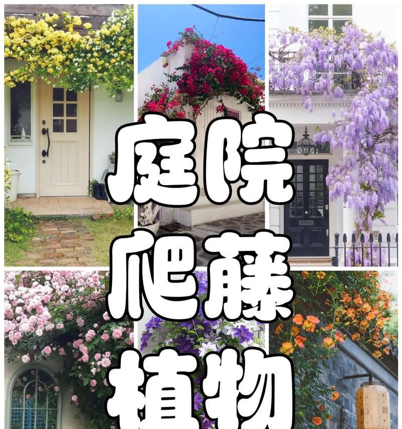 打造一个美丽的庭院植物世界（植物园林设计、植物科学研究与实践）