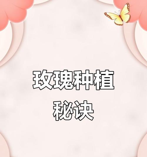 山地玫瑰的浇水技巧（多久浇一次水才最适合？）