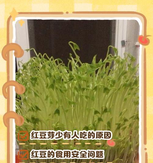 红豆发芽的过程详解（掌握红豆发芽的技巧，尝鲜红豆营养）