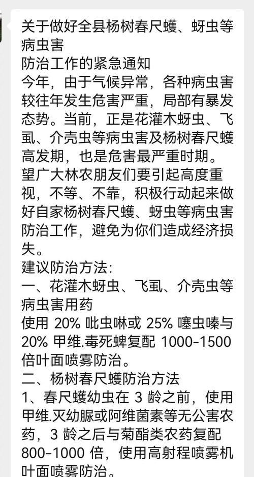 大叶黄杨炭疽病的预防与治疗（探究病因，了解症状，科学防治）