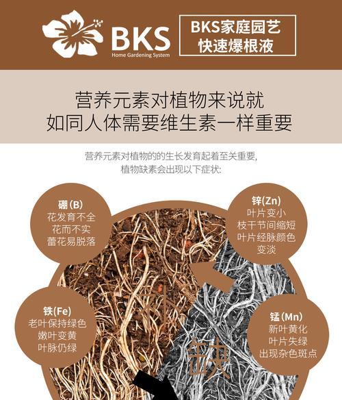 生根粉正确使用方法（能否直接浇花？如何使用？）