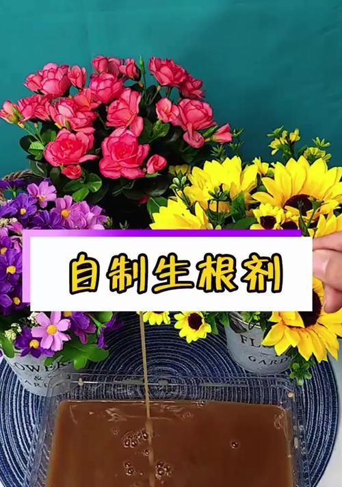 生根粉正确使用方法（能否直接浇花？如何使用？）