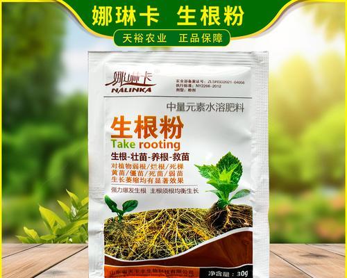 生根粉正确使用方法（能否直接浇花？如何使用？）