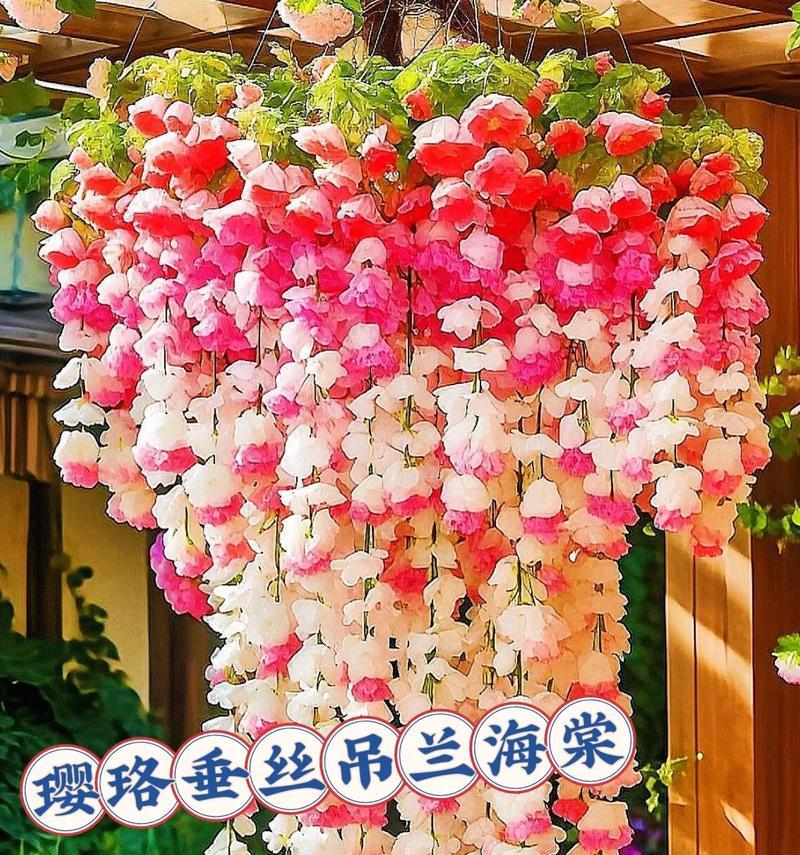 垂丝海棠养护指南（如何正确养殖垂丝海棠）
