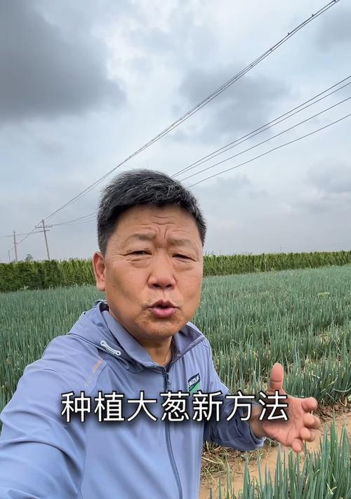 大葱种植的时间和方法（春季适宜种植，密植可增收——详解大葱种植技巧）