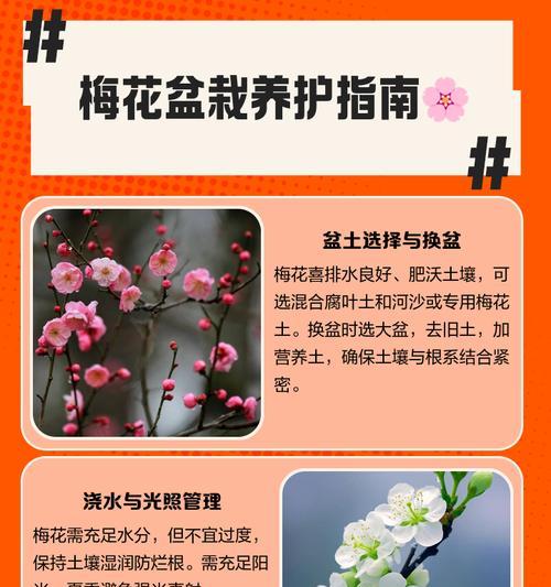 水梅花的养殖方法与养护要点（轻松学会水梅花的养殖）