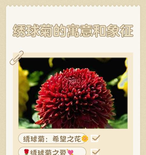 绣球花的寓意与象征意义（探寻绣球花的情感和文化内涵）