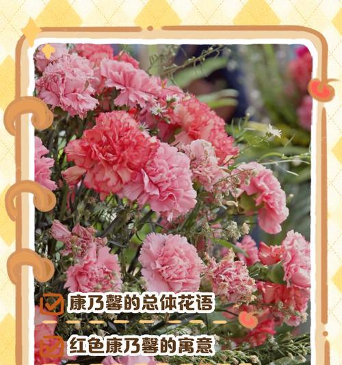 传递爱与祝福——深入解读康乃馨的10支花语（美丽的康乃馨为我们带来的深意与寓意）