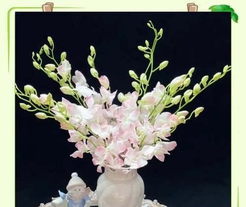 洋兰的花语及其意义（探寻洋兰的花语与寓意，融入生活的美好）