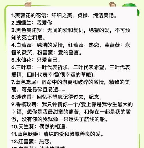 以白兰花的花语为主题的文章（和好是人与人之间最美的和谐）