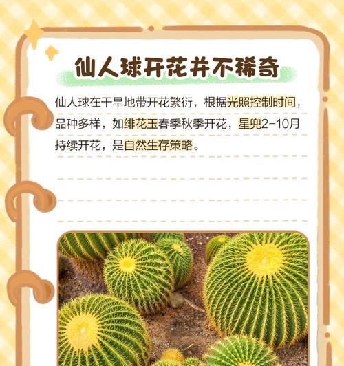 白鸟仙人球花语（用白鸟仙人球传达生命的美好）