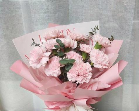 康乃馨的寓意与象征风水（表达爱与祝福的康乃馨，以及其在风水中的独特意义）